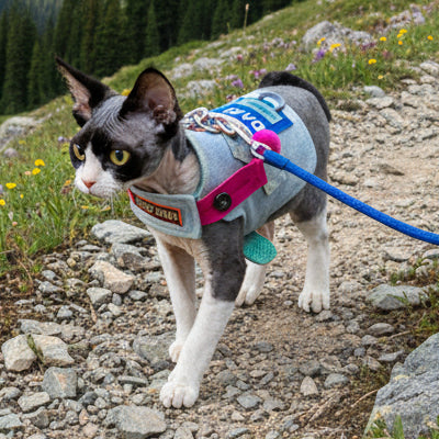 harnais-anti-evasion-chat-avec-laisse-montagne