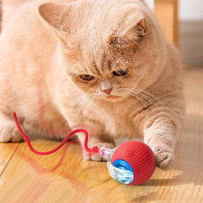 jouet-chat-interactif-joueur