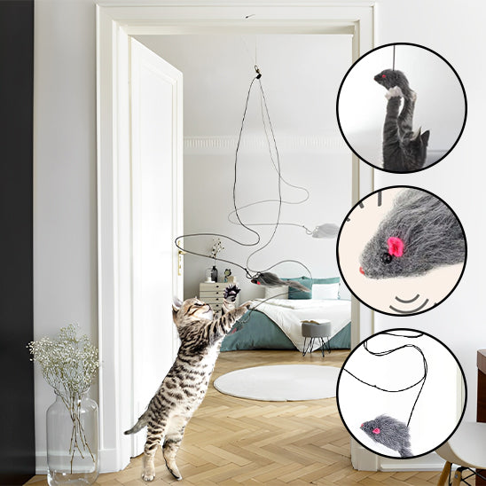 jouet-chat-interactif-porte-amusant