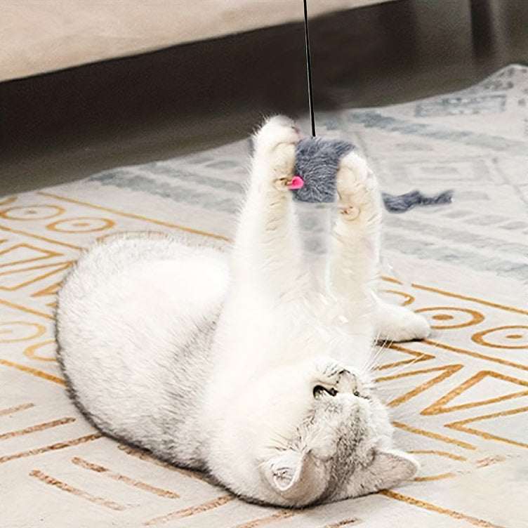 jouet-chat-interactif-porte-coucher