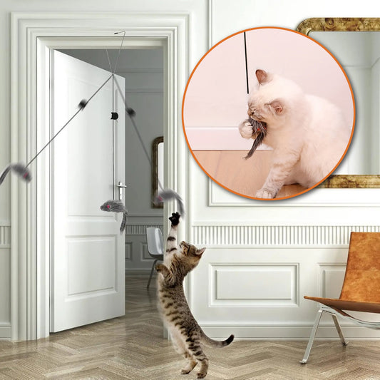 jouet-chat-interactif-porte-couverture