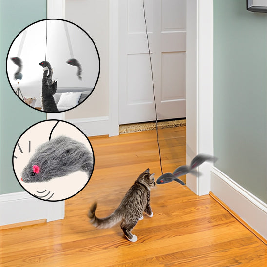 jouet-chat-interactif-porte-jouer