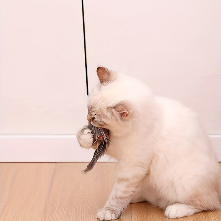 jouet-chat-interactif-porte-mordre