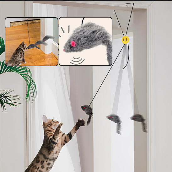 jouet-chat-interactif-porte-suspendu