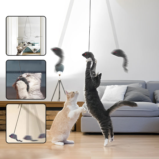 jouet-chat-interactif-porte-trois