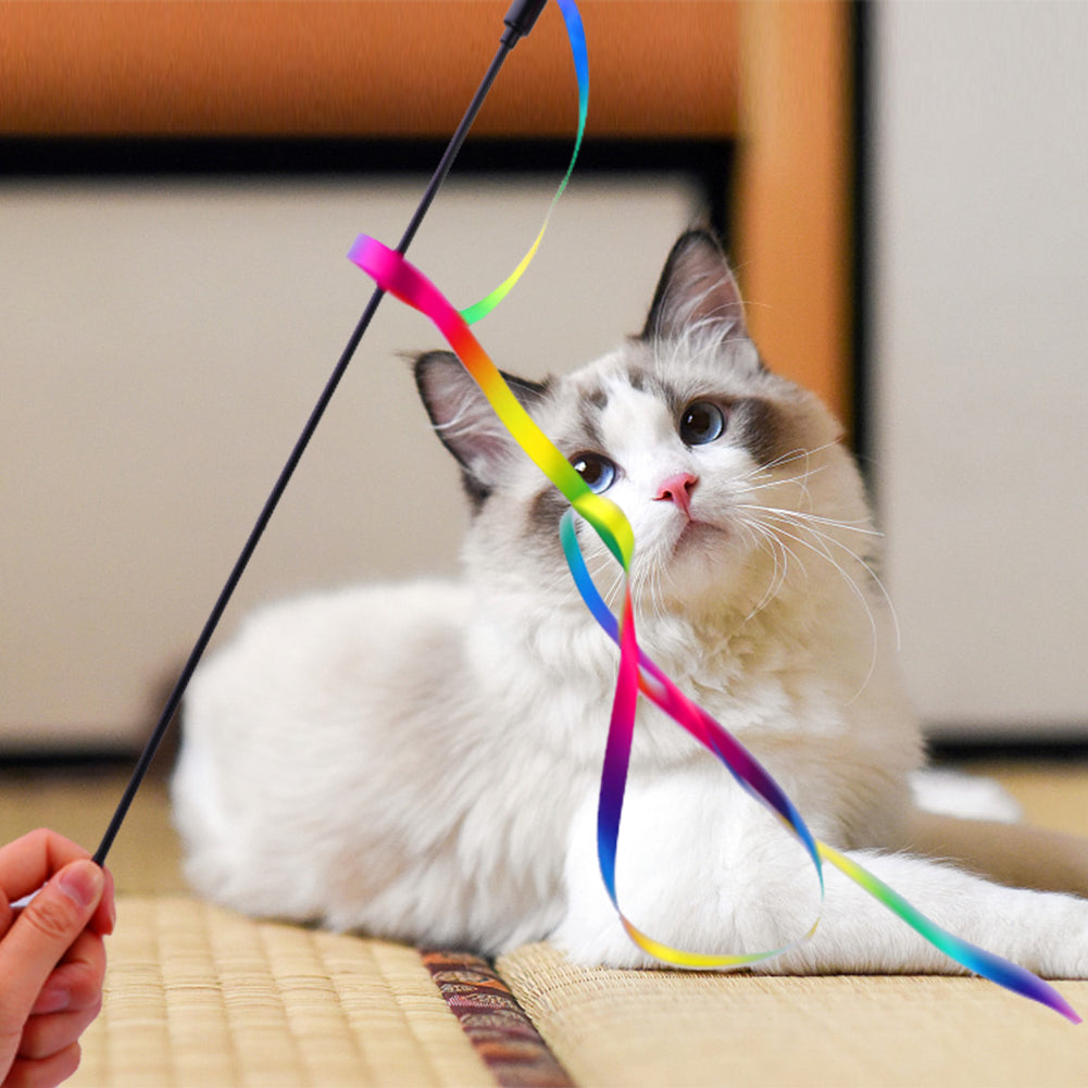 jouet-chat-ruban-regard