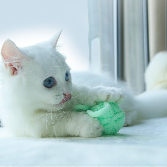 F Fityle Marionnette à Main Peluche Chat Lutteur Sumo - Jouet Interactif Amusant Pour Chats Et Enfants
