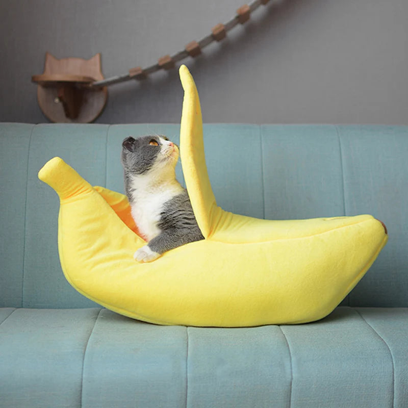 lit-pour-chat-banane-canape