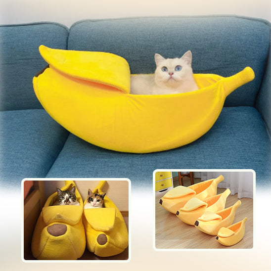 lit-pour-chat-banane-divan