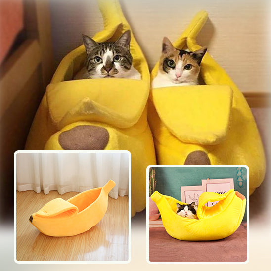 lit-pour-chat-banane-jumeaux