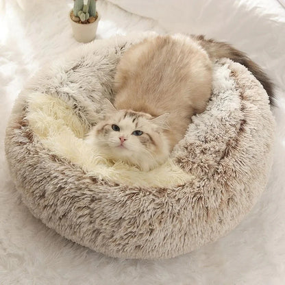 lit-pour-chat-doudou-allonge-tete-levee