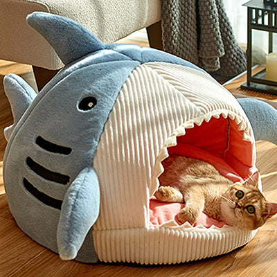 maison-pour-chat-requin-coucher-dehors