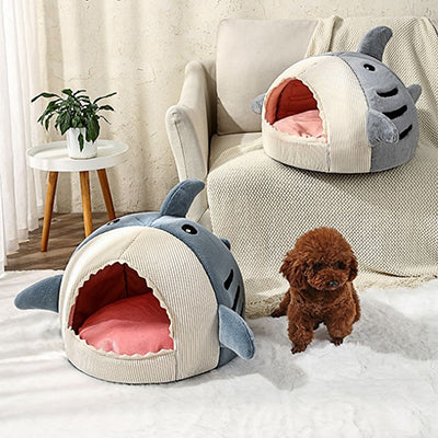 maison-pour-chat-requin-deux