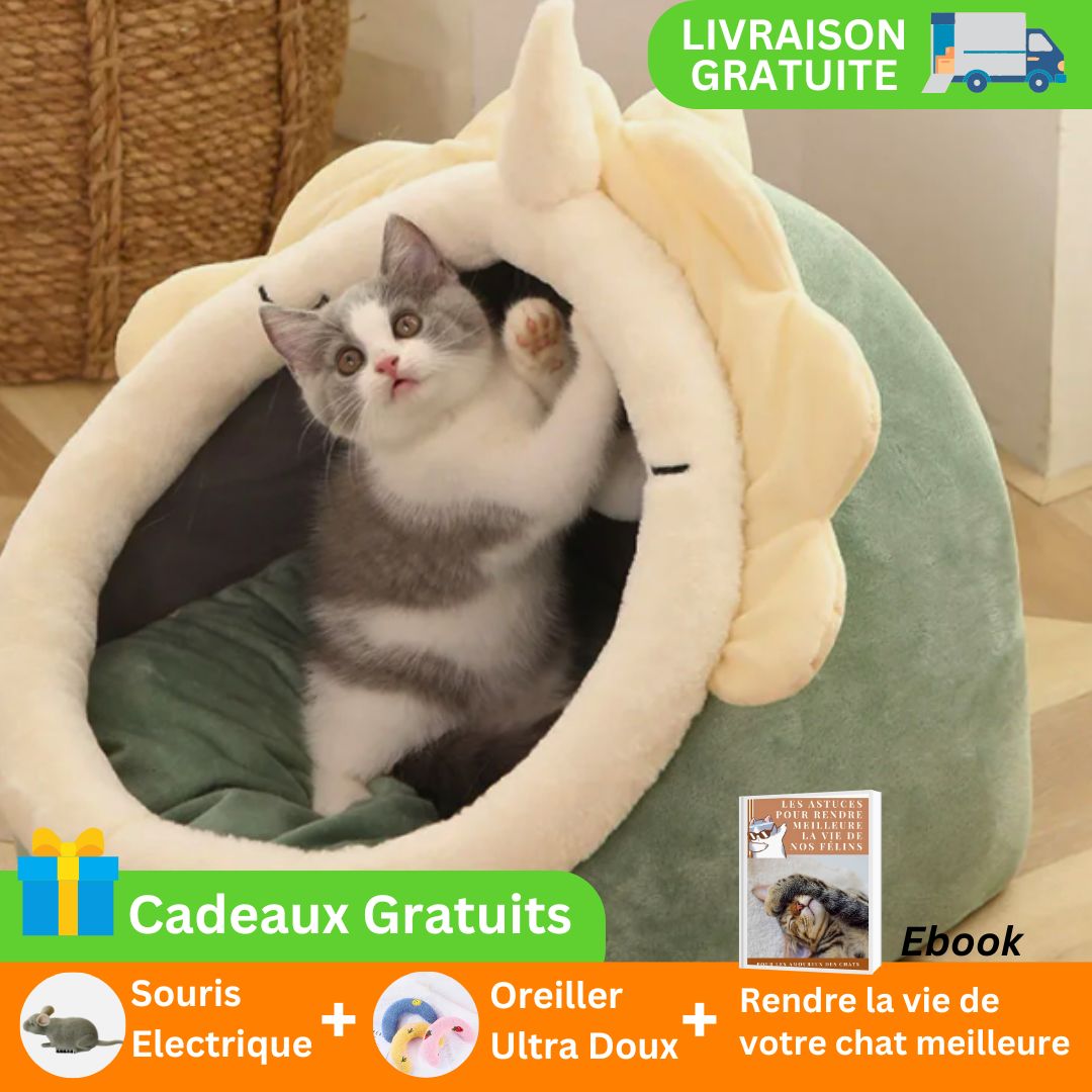 niche-pour-chat-dinosaure