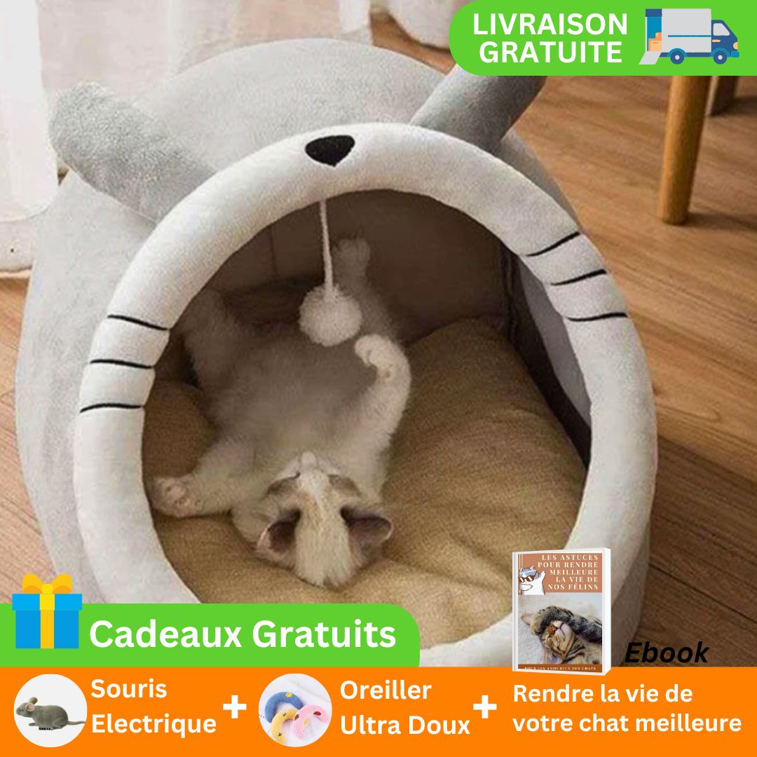 niche-pour-chat-dragon