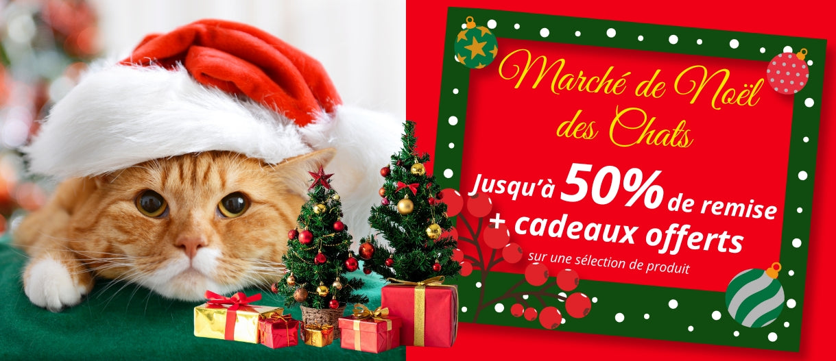 page-accueil-ordi-noel-chat-filou
