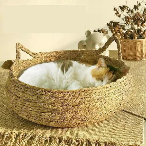 panier-chat-repos-couverture