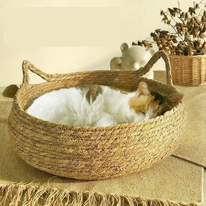 panier-chat-repos-couverture