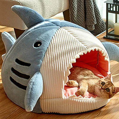 panier-chat-requin-coucher-dehors-tete-baisse
