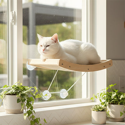 perchoir-fenetre-chat-18-kg-chat-cuisine
