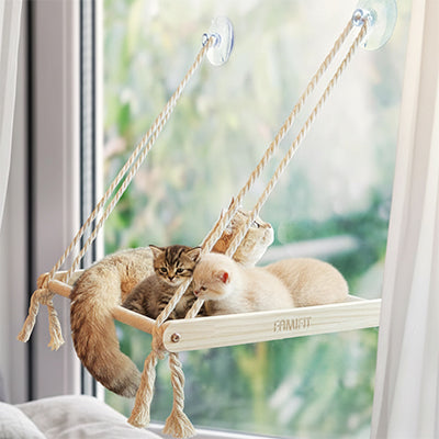 perchoir-fenetre-chat-chambre