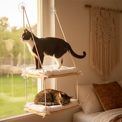 perchoir-fenetre-chat-double-couche-chambre