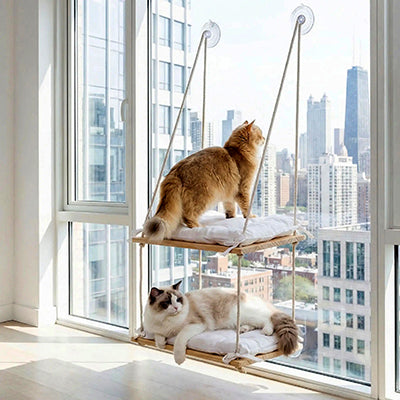 perchoir-fenetre-chat-double-couche-sur-les-immeubles