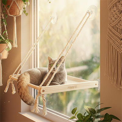 perchoir-fenetre-chat-gris