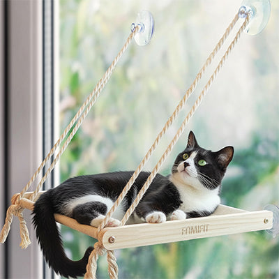 perchoir-fenetre-chat-noir-et-blanc