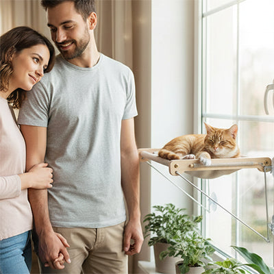 perchoir-fenetre-chat-plateau-chat-couple