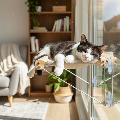 perchoir-fenetre-chat-plateau-chat-noir