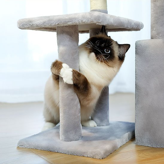petit-arbre-a-chat-compact-amusant