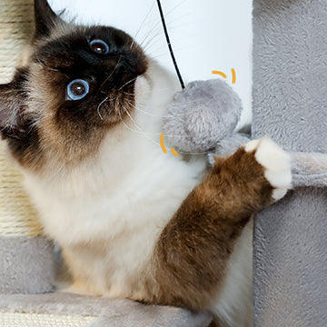 petit-arbre-a-chat-compact-jouet