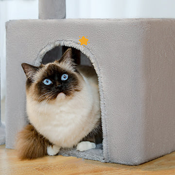 petit-arbre-a-chat-compact-maison