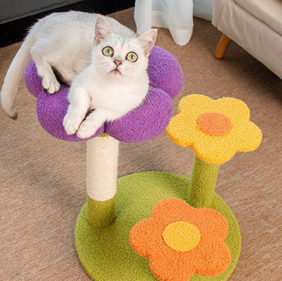 Petit arbre à chat | Design Floral 48cm