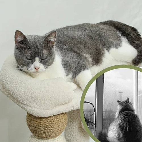 petit-arbre-a-chat-gain-de-place-chat-qui-dort