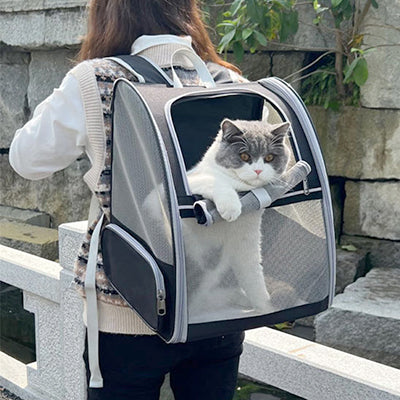 sac-a-dos-chat-ultra-ventile-fille-de-dos-noir