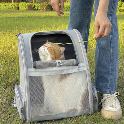 sac-a-dos-chat-ultra-ventile-garcon-parc