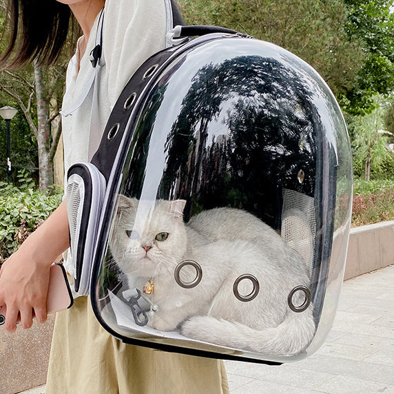 sac-a-dos-pour-chat-balade