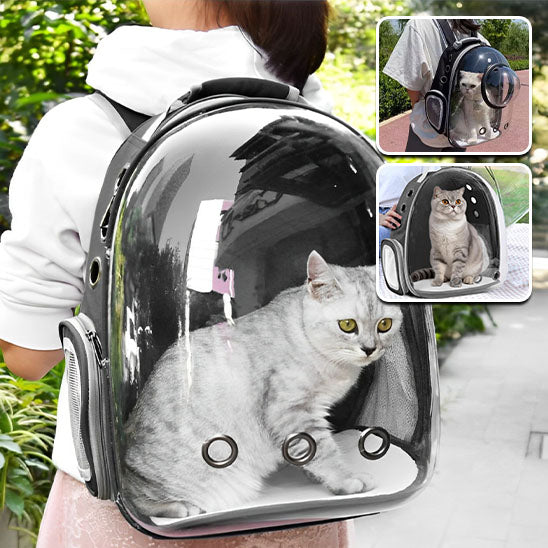 sac-a-dos-pour-chat-garcon