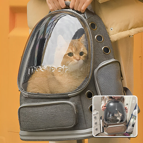 sac-a-dos-pour-chat-hublot