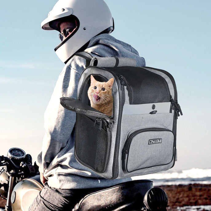 Sac à dos pour chat multifonction – Chat Filou