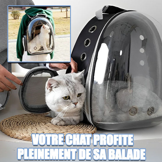 sac-a-dos-pour-chat-sortie