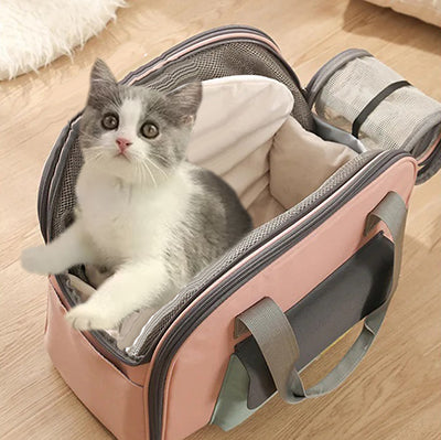 sac-de-transport-pour-chat-debout-dans-sac-a-dos-pour-chat