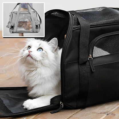 sac-de-transport-pour-chat-regard