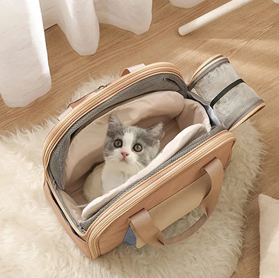 sac-de-transport-pour-chat-tete-dans-le-sac