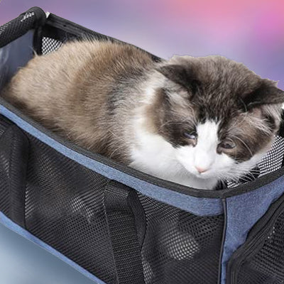 sac-de-transport-pour-chat-ventile-coucher