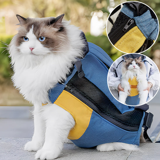 sac-pour-chat-plein-air-assis