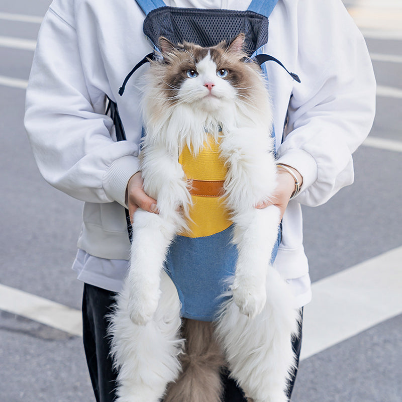 sac-pour-chat-plein-air-couverture