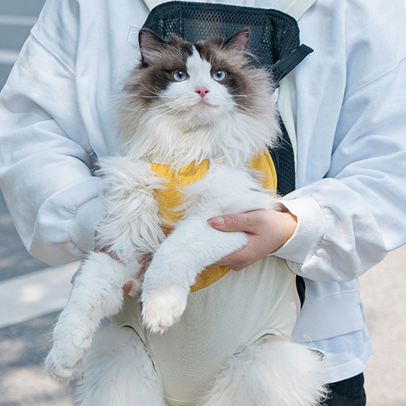 Sac pour chat plein air
